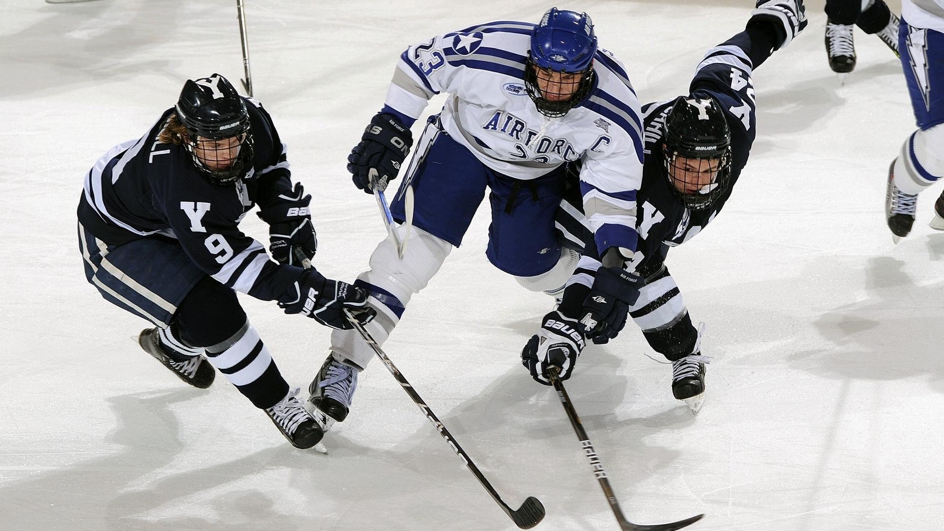 中国田径队发布运动员膳食营养调研成果，田径运动员饮食标准